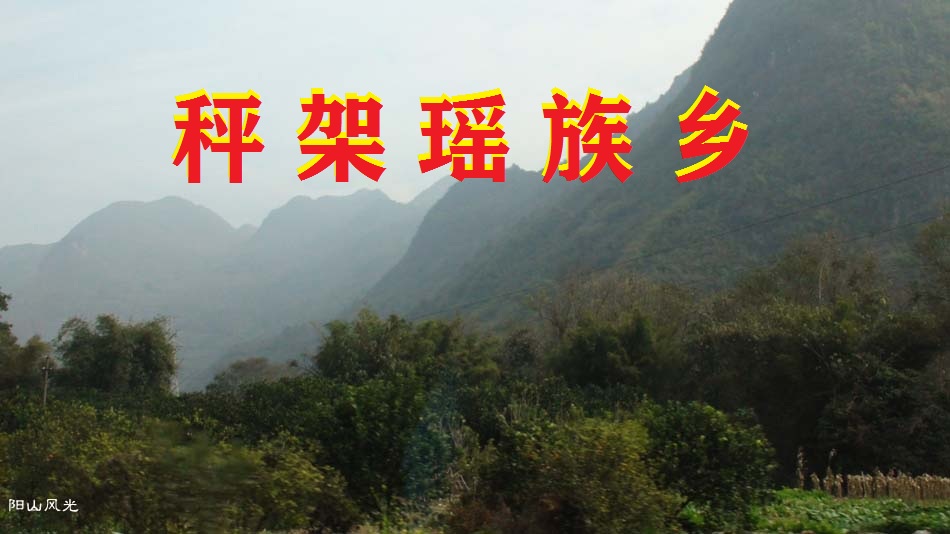 һҳ