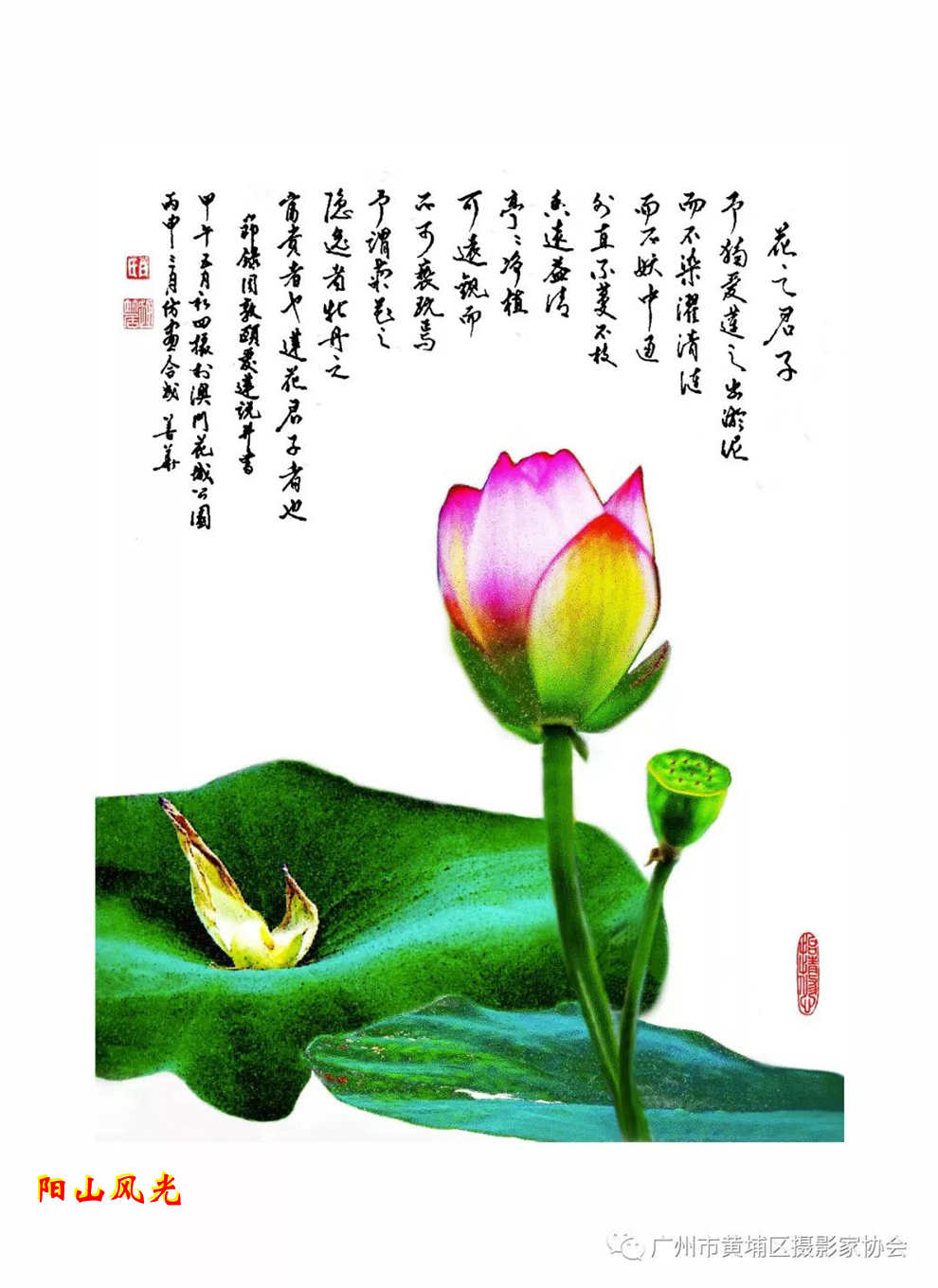 һҳ