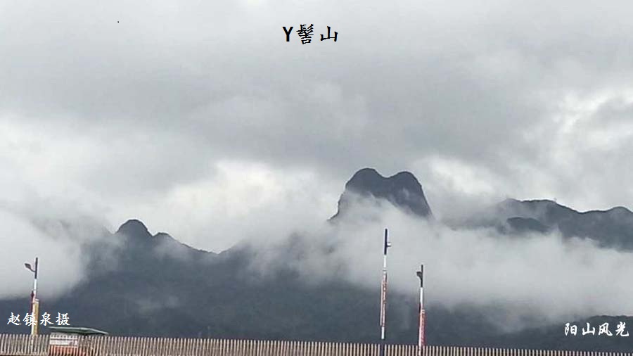 һҳ